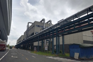 淨化好色先生污视频